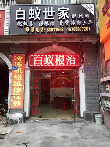 被白蚁扫荡过的木质地板