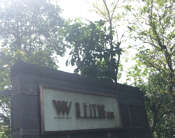 岚宝——去甲醛用活性炭就能够做到百分之*的去除吗?