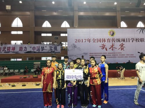 2017年第六届厦门国际武术大赛举行