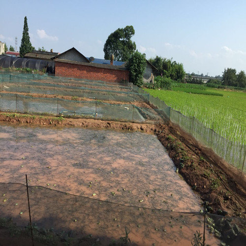 志勤牛蛙苗养殖基地2019国庆节后上班通知
