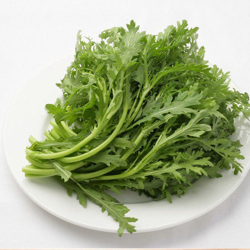 蔬菜配送经验所谈夏天蔬菜如何存放