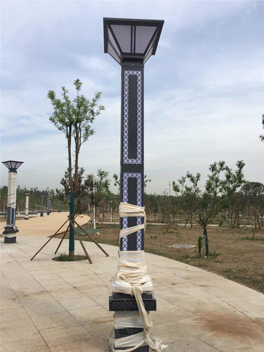 太阳能路灯亮化新农村建设