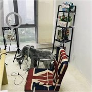 宁波东岸文化传媒有限公司