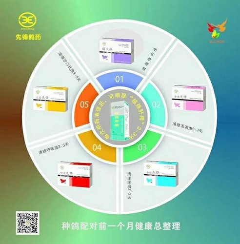 种鸽健康调理套餐