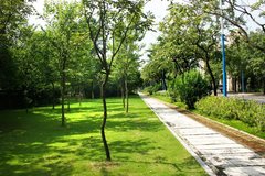 贵阳园林绿化养护管理