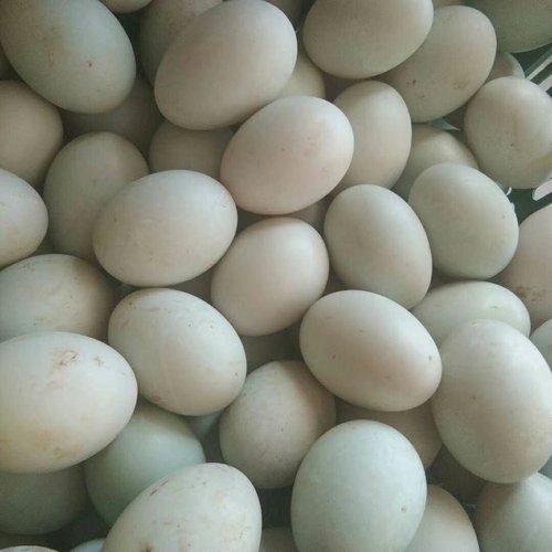 超市卖的鸡蛋上为啥没有粪便？