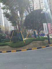 贵州工程用树销售基地