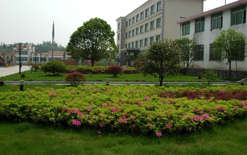 厂区绿化方案