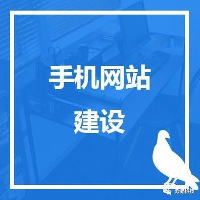 定制网站建设需要解决的问题 如何在创新中获得用户认可
