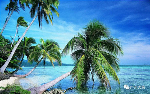 【聚焦海南】扬帆海之南,广东大禹海南优秀防水工程巡礼