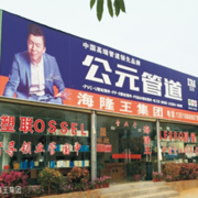 海南海隆王实业集团有限公司