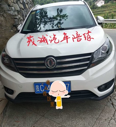 汽车陪练项目