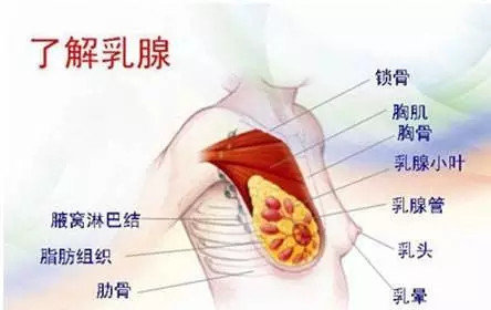 乳腺炎是不能热敷的