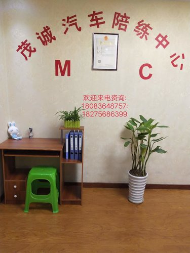 汽车陪练的阶段训练方案!