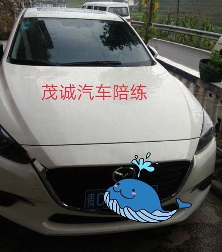 陪练时应选择什么样的道路培训?