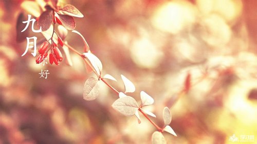 成都西锦石化沥青厂家2018年中秋节后上班通知