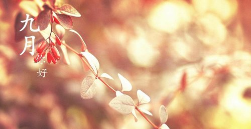 成都金新沥青厂家2018年中秋节后上班通知
