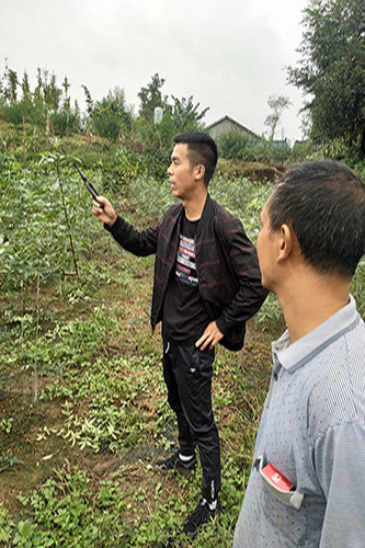 藤椒苗基地元旦后上班通知