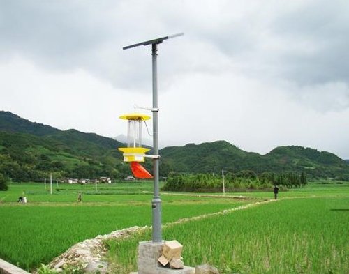 農用太陽能殺蟲燈