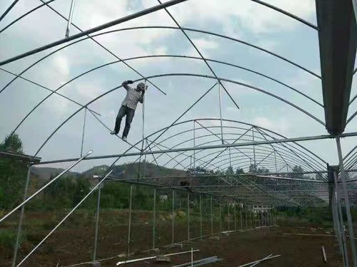 温室大棚的温度条件