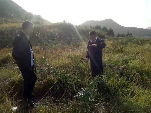 四川藤椒苗基地的常见病害和产地的分布