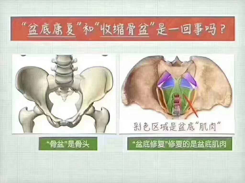 %E7%9B%86%E9%AA%A8%E8%82%8C%E4%BF%AE%E5%A4%8D.jpg %E7%9B%86%E9%AA%A8%E8%82%8C%E4%BF%AE%E5%A4%8D.jpg