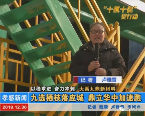 以稳求进 奋力冲刺|大禹九鼎新材料:九选栖枝落应城 鼎立中华加速跑