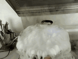 1.gif 1.gif