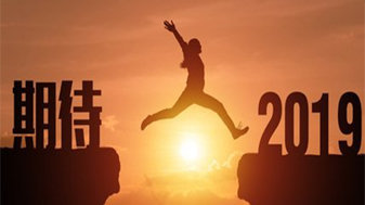 致2019年的绿零人