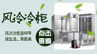 风冷冷柜选绿零