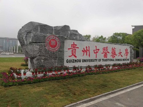 贵州中医药大学校名石改造项目