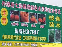 丹棱县大雅农夫农业发展有限公司