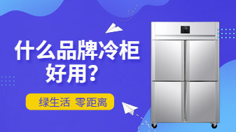 绿零风冷冷柜:什么品牌冷柜好用?