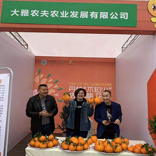 大雅柑柑橘科学施肥方法