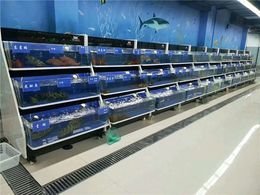 贵州酒店海鲜池设计