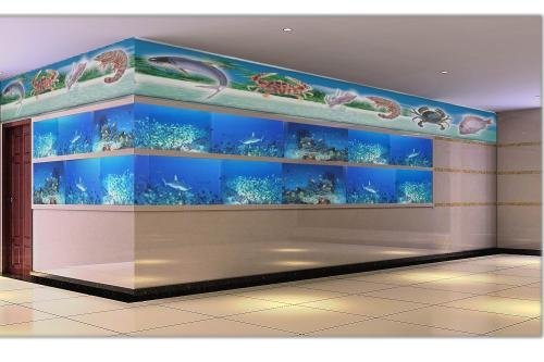 货比三家 海鲜池供应商