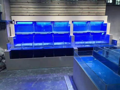 海鲜池净水工作