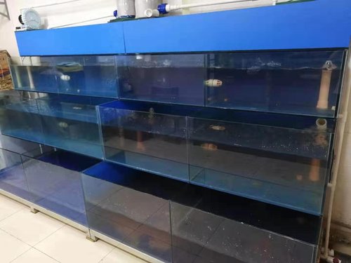 海鲜池过滤方法