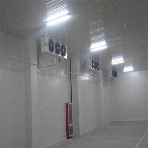 柳州冷库——建一个冷库大概多少钱?