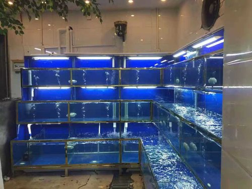 有关贵阳市五星*酒店海鲜池管理方案的提议有以下内容