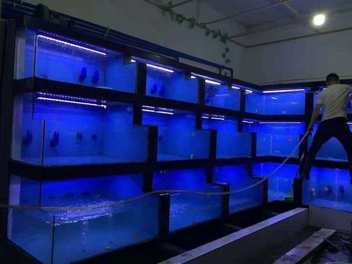 海鲜池压缩机需要开机吗?