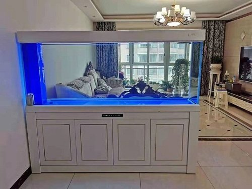 鱼缸该如何选择