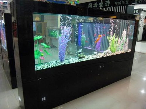 生态鱼缸需要哪些材料?