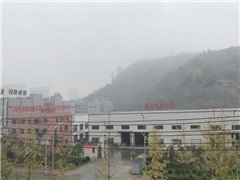 遵義電線電纜有限公司