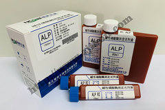 碱性磷酸酶测定试剂盒 ALP