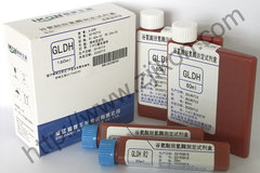 谷氨酸脱氢酶测定试剂盒 GLDH