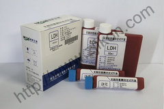 乳酸脱氢酶测定试剂盒 LDH
