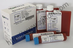 胰淀粉酶测定试剂盒 P-AMY