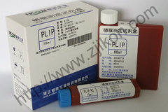 磷脂测定试剂盒 PLIP