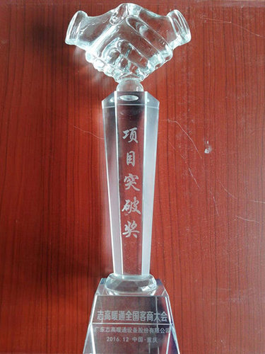 2016年項目突破獎